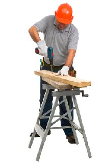 carpintero molina de segura